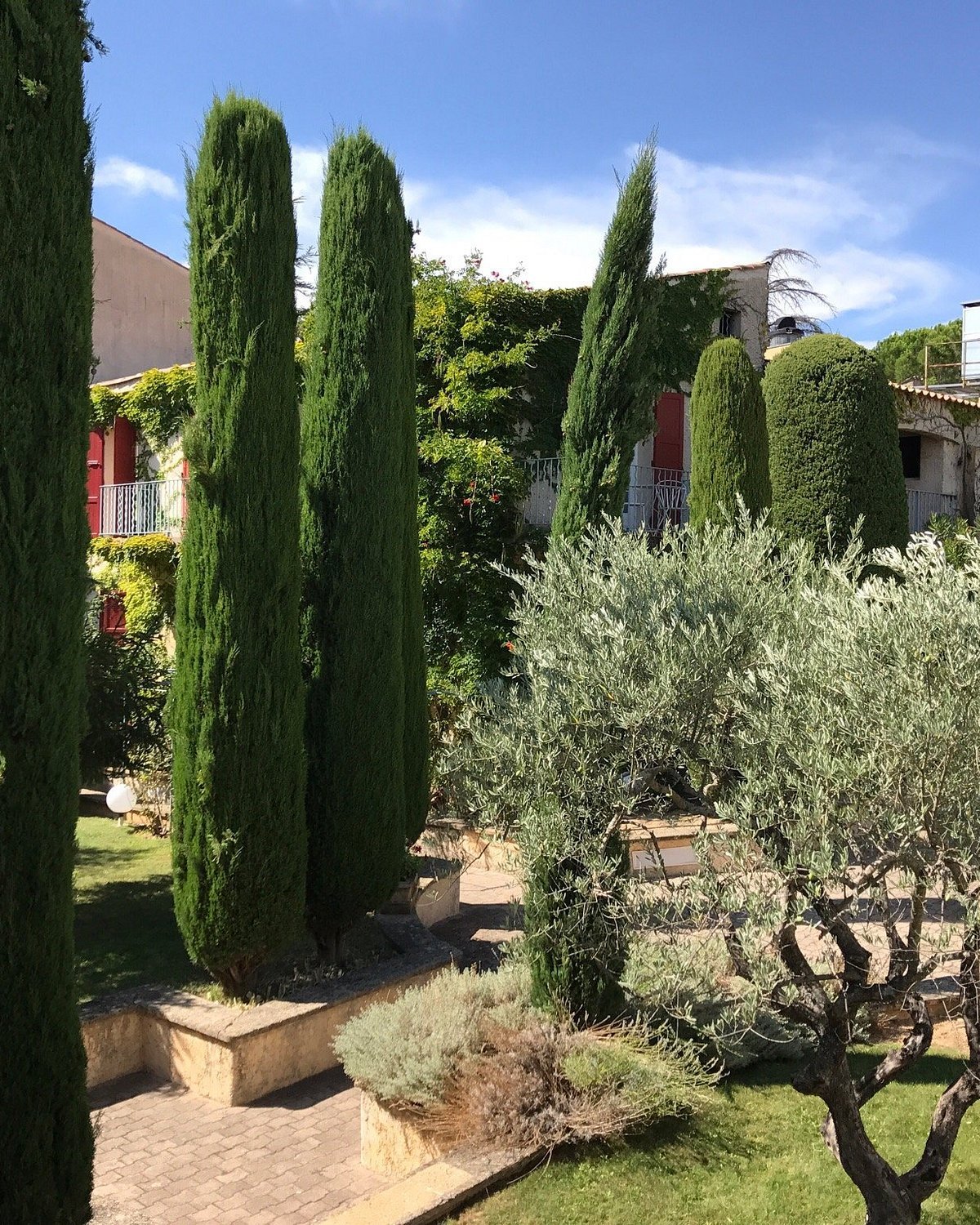 Le jardin de la résidence Le Clos des Oliviers à Gréoux-les-Bains